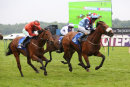 Race 5 - Time To Sea (10)