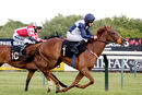 Race 5 - Tregony (8)