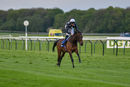 Race 5 - Twist N Shake (3)