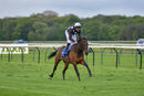 Race 5 - Twist N Shake (5)