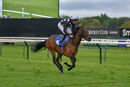 Race 5 - Twist N Shake (9)