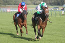 Race 5 - Typewriter (14)