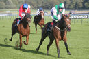 Race 5 - Typewriter (16)