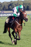 Race 5 - Typewriter (18)