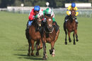 Race 5 - Typewriter (4)