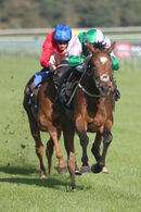 Race 5 - Typewriter (9)