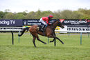 Race 5 - Vanity Affair (10)