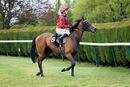 Race 5 - Vanity Affair (12)