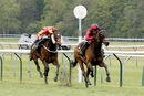 Race 5 - Vanity Affair (2)