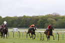 Race 5 - Vanity Affair (3)