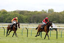 Race 5 - Vanity Affair (4)