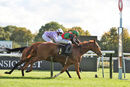 Race 5 - Vindolanda (14)