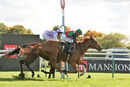Race 5 - Vindolanda (15)