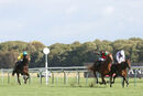 Race 5 - Vindolanda (3)