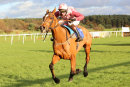 Race 5 - Vinegar Hill (11)