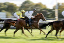 Race 5 - Viola (1)