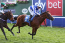 Race 5 - Well Done Fox (4)018