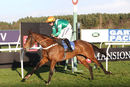 Race 5 - Who What Where (10)
