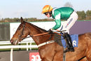 Race 5 - Who What Where (12)