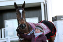 Race 5 - Who What Where (2)
