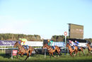 Race 5 - Who What Where (3)