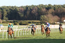Race 5 - Who What Where (4)