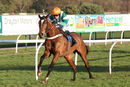 Race 5 - Who What Where (5)
