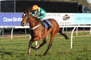 Race 5 - Who What Where (6)