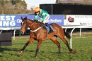Race 5 - Who What Where (7)