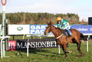 Race 5 - Who What Where (8)