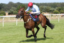 Race 5 - Whoshotwho (8)