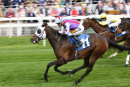 Race 5 - Yeah Baby Yeah (1)
