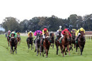 Race 5 - Yes You (2)