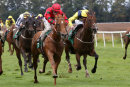 Race 5 - Yes You (3)