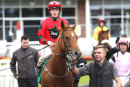 Race 5 - Yes You (9)