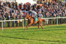 Race 5 - Yorkshiredebut (10)