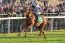 Race 5 - Yorkshiredebut (6)