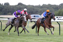 Race 5 - Your Love Is King (10)