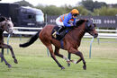 Race 5 - Your Love Is King (13)