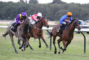Race 5 - Your Love Is King (8)
