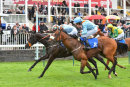 Race 5 - Zapper Cass (11)