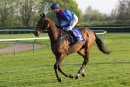 Race 5 (10) - Clever Cookie
