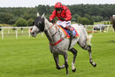 Race 5 (10) - Silver Man