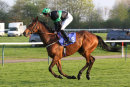 Race 5 (11) - Nearly Caught