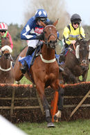 Race 5 (12) - Rebel Royal