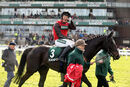 Race 5 (1) - Cat Tiger