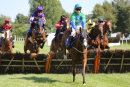 Race 5 (1) - Doctor Thea