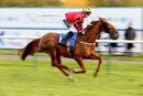 Race 5 (1) - Handiwork