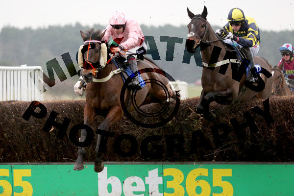 Race 5 (1) - Newberry New