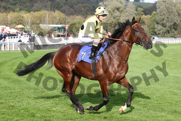 Race 5 (1) - Zeelander